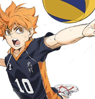 Haikyu Hero